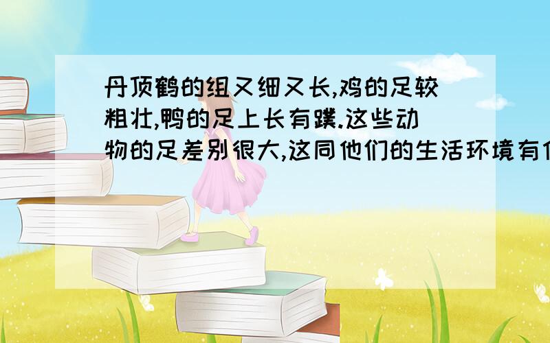 丹顶鹤的组又细又长,鸡的足较粗壮,鸭的足上长有蹼.这些动物的足差别很大,这同他们的生活环境有什么关系?