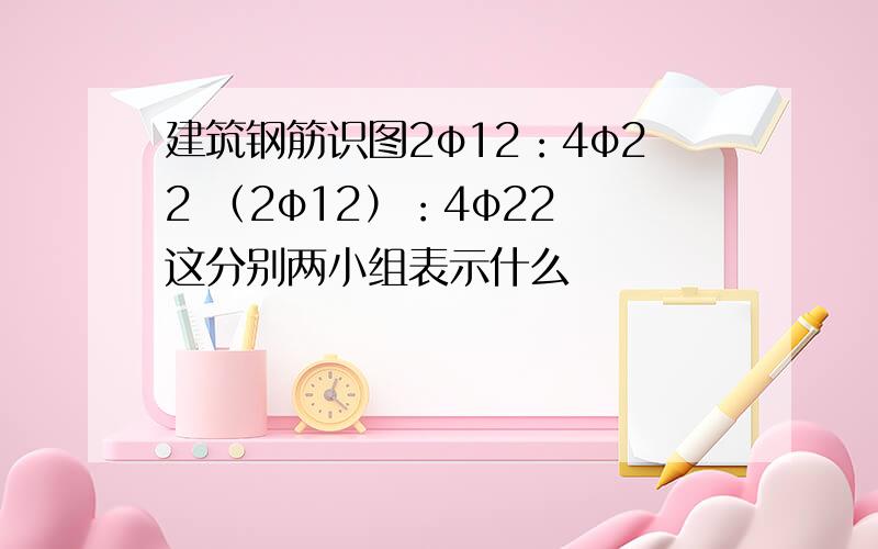 建筑钢筋识图2φ12：4φ22 （2φ12）：4φ22 这分别两小组表示什么