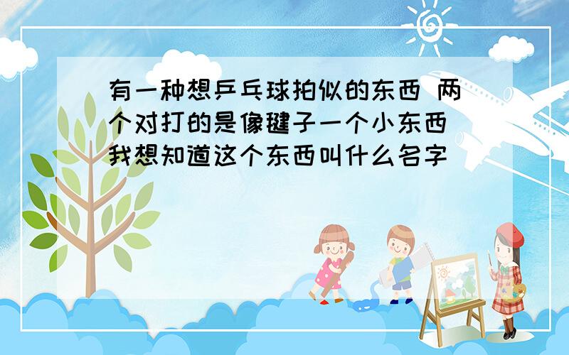 有一种想乒乓球拍似的东西 两个对打的是像毽子一个小东西 我想知道这个东西叫什么名字