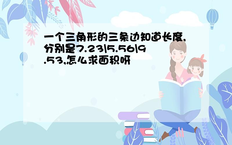 一个三角形的三条边知道长度,分别是7.23\5.56\9.53,怎么求面积呀