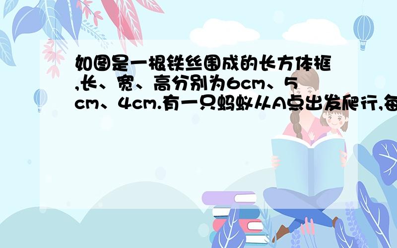 如图是一根铁丝围成的长方体框,长、宽、高分别为6cm、5cm、4cm.有一只蚂蚁从A点出发爬行,每条棱不允许重复,则蚂蚁回到A点时,最多爬行多少厘米?并把蚂蚁所走的路线用字母按顺序表示出来.