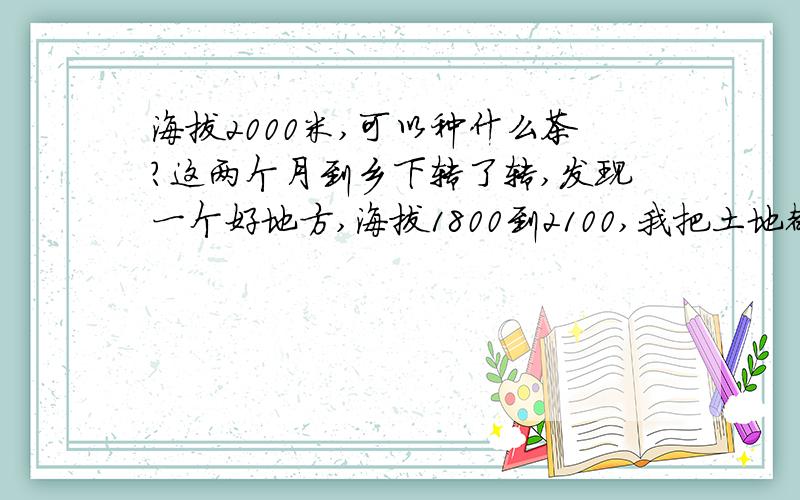 海拔2000米,可以种什么茶?这两个月到乡下转了转,发现一个好地方,海拔1800到2100,我把土地都拿下了,可却犯难了,不知道可以种什么茶,还请各位朋友帮助提点建议,