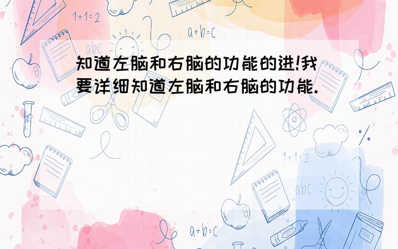 知道左脑和右脑的功能的进!我要详细知道左脑和右脑的功能.