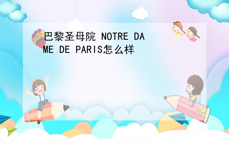 巴黎圣母院 NOTRE DAME DE PARIS怎么样