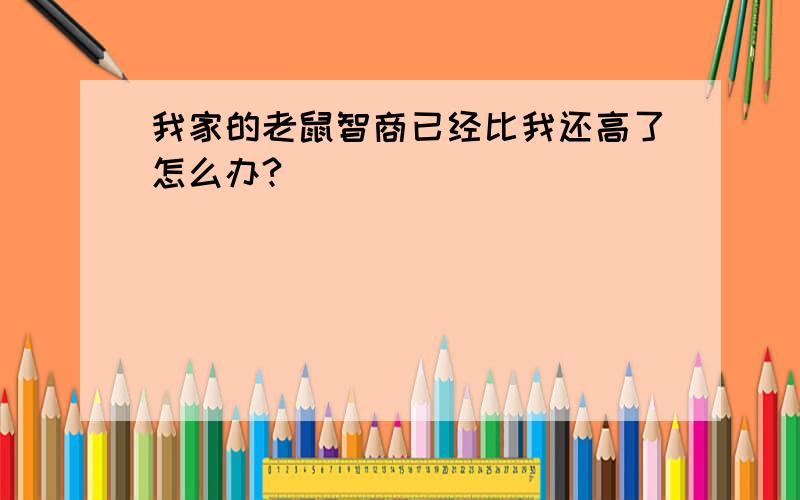 我家的老鼠智商已经比我还高了怎么办?