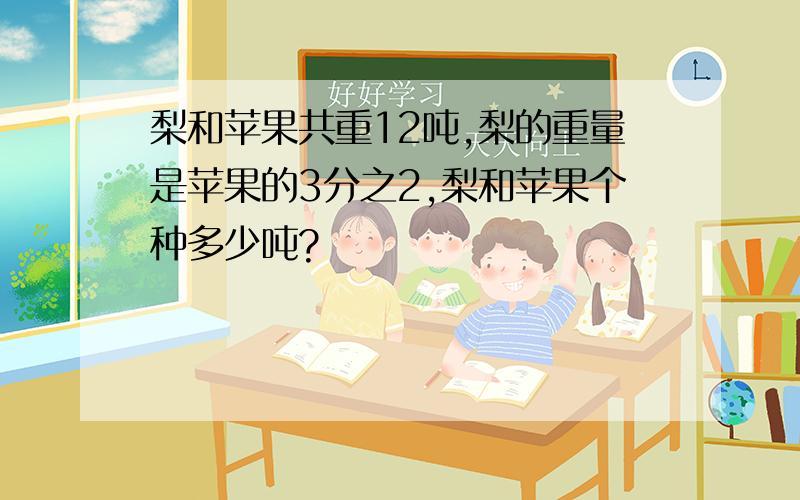 梨和苹果共重12吨,梨的重量是苹果的3分之2,梨和苹果个种多少吨?