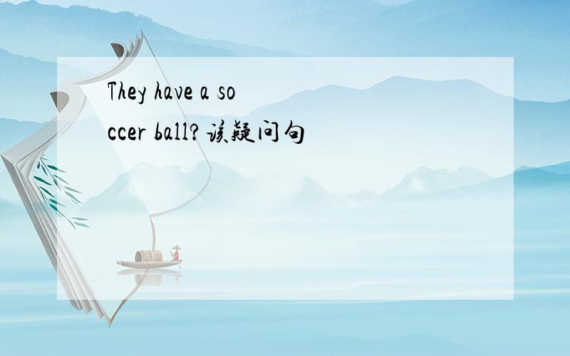 They have a soccer ball?该疑问句