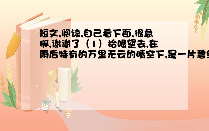 短文,阅读,自己看下面,很急啊,谢谢了（1）抬眼望去,在雨后特有的万里无云的晴空下,是一片碧绿的草滩,草滩上耸立着连绵起伏的深褐色的山峦,银色的公路像是一条哈达,逶迤着伸向遥远的地