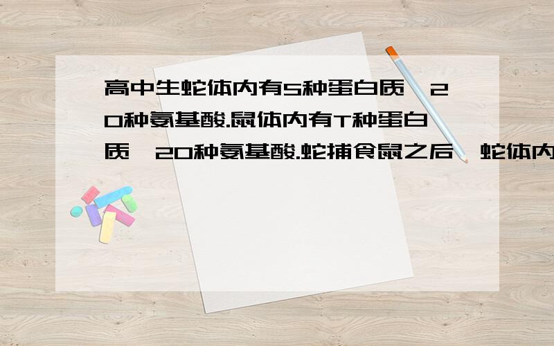 高中生蛇体内有S种蛋白质,20种氨基酸.鼠体内有T种蛋白质,20种氨基酸.蛇捕食鼠之后,蛇体内一个细胞内蛇体内有S种蛋白质,20种氨基酸.鼠体内有T种蛋白质,20种氨基酸.蛇捕食鼠之后,蛇体内一个