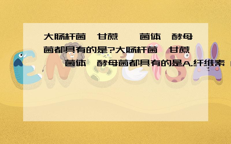 大肠杆菌,甘蔗,噬菌体,酵母菌都具有的是?大肠杆菌、甘蔗、噬菌体、酵母菌都具有的是A.纤维素 B.淀粉 C.糖元 D.脱氧核酸