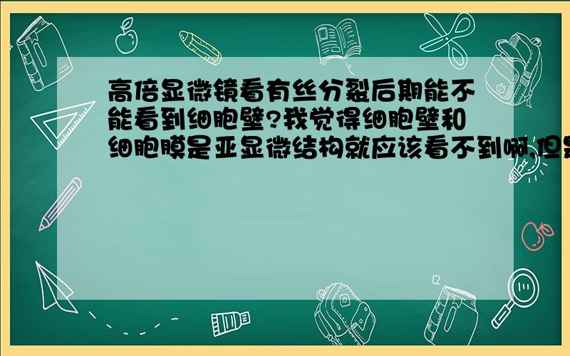 高倍显微镜看有丝分裂后期能不能看到细胞壁?我觉得细胞壁和细胞膜是亚显微结构就应该看不到啊,但是4个选项答案中不是细胞壁就是细胞膜,我晕.怎么一回事啊?高倍显微镜后期都可以看到