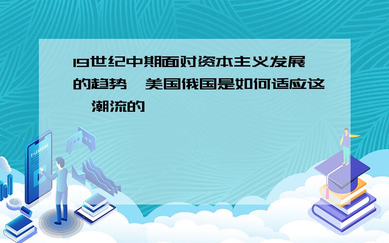 19世纪中期面对资本主义发展的趋势,美国俄国是如何适应这一潮流的