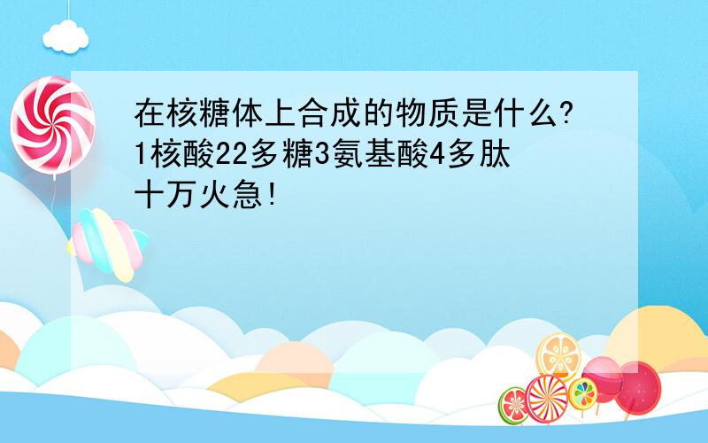 在核糖体上合成的物质是什么?1核酸22多糖3氨基酸4多肽十万火急!