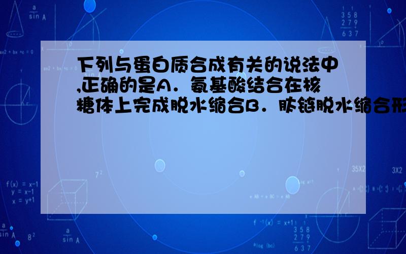 下列与蛋白质合成有关的说法中,正确的是A．氨基酸结合在核糖体上完成脱水缩合B．肽链脱水缩合形成一定空间结构的蛋白质C．抗体的合成与分泌与生物膜的流动性有关D．大肠杆菌的部分