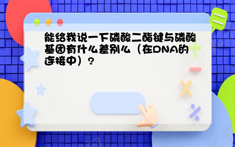 能给我说一下磷酸二酯键与磷酸基团有什么差别么（在DNA的连接中）?