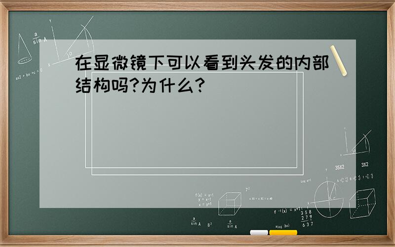 在显微镜下可以看到头发的内部结构吗?为什么?