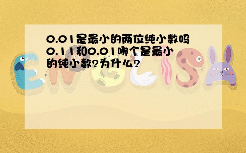 0.01是最小的两位纯小数吗0.11和0.01哪个是最小的纯小数?为什么?