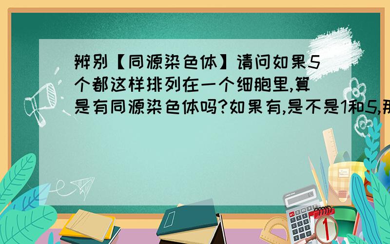 辨别【同源染色体】请问如果5个都这样排列在一个细胞里,算是有同源染色体吗?如果有,是不是1和5,那2和3和4应该怎么算啊?如果这个细胞中只有1和5它们肯定是同源,但如果只有2和3,即没有姐