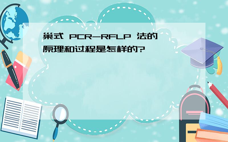 巢式 PCR-RFLP 法的原理和过程是怎样的?