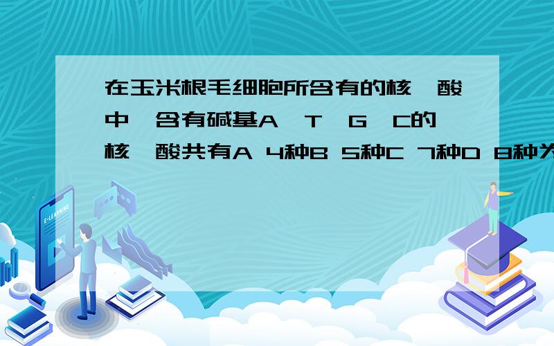 在玉米根毛细胞所含有的核苷酸中,含有碱基A,T,G,C的核苷酸共有A 4种B 5种C 7种D 8种为什麼