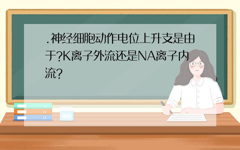 .神经细胞动作电位上升支是由于?K离子外流还是NA离子内流?