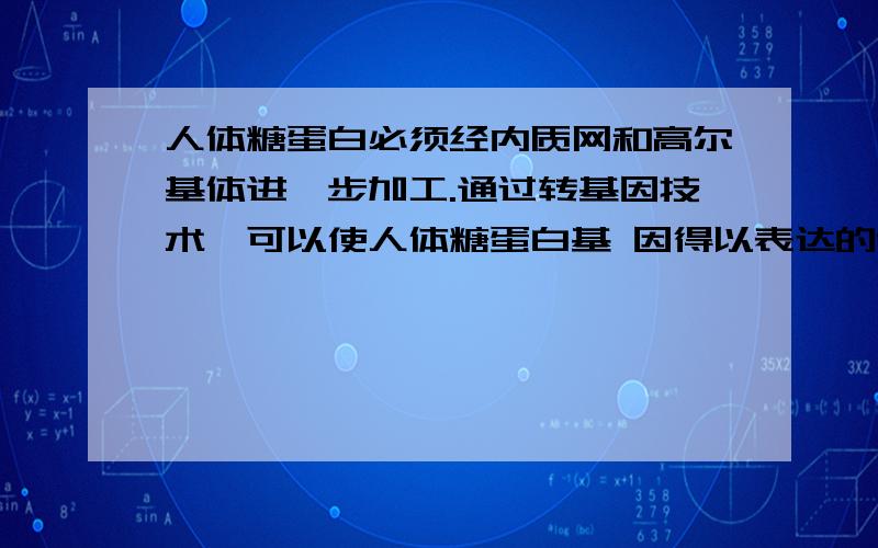 人体糖蛋白必须经内质网和高尔基体进一步加工.通过转基因技术,可以使人体糖蛋白基 因得以表达的受体细胞是 ( )A‘酵母菌 B．大肠杆菌 C．噬菌体 D．蓝藻请写出各项的判断依据和理由,