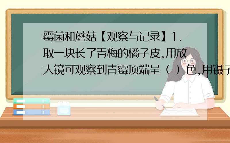 霉菌和蘑菇【观察与记录】1.取一块长了青梅的橘子皮,用放大镜可观察到青霉顶端呈（ ）色,用镊子掰开橘子皮,可观察到（ ）色的菌体.2.取一块长了曲霉的玉米芯,用放大镜可观察到曲霉顶