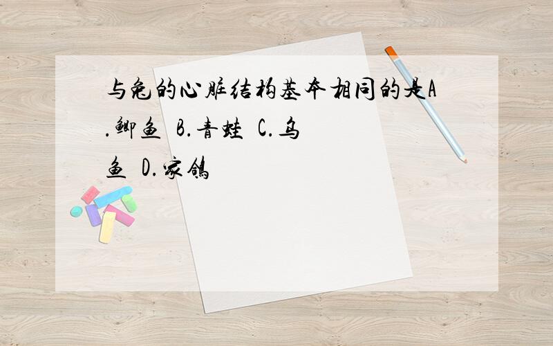 与兔的心脏结构基本相同的是A.鲫鱼  B.青蛙  C.乌鱼  D.家鸽