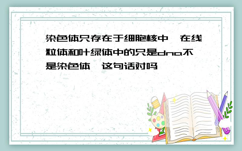 染色体只存在于细胞核中,在线粒体和叶绿体中的只是dna不是染色体,这句话对吗