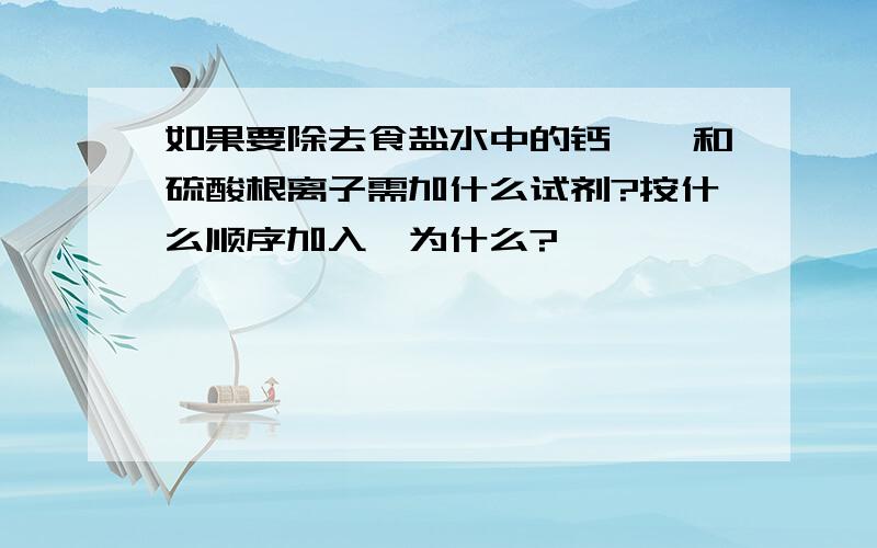 如果要除去食盐水中的钙,镁和硫酸根离子需加什么试剂?按什么顺序加入,为什么?