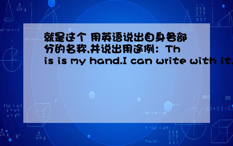 就是这个 用英语说出自身各部分的名称,并说出用途例：This is my hand.I can write with it.……英语的………用英语……说出……自身各部分……器官……的用途