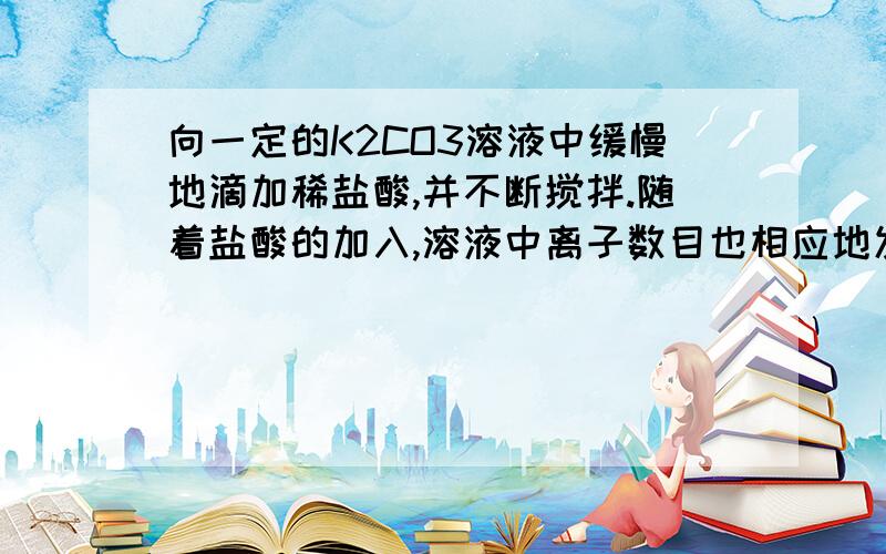 向一定的K2CO3溶液中缓慢地滴加稀盐酸,并不断搅拌.随着盐酸的加入,溶液中离子数目也相应地发生变化.如图所示,四条曲线与溶液中的离子的对应关系,完全正确的是（ ）A．a：Cl—； b：K+； c