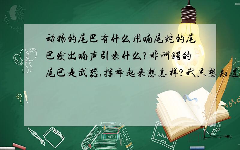 动物的尾巴有什么用响尾蛇的尾巴发出响声引来什么?非洲鳄的尾巴是武器,挥舞起来想怎样?我只想知道响尾蛇的尾巴和非洲鳄的尾巴的作用。请只针对这两个问题。