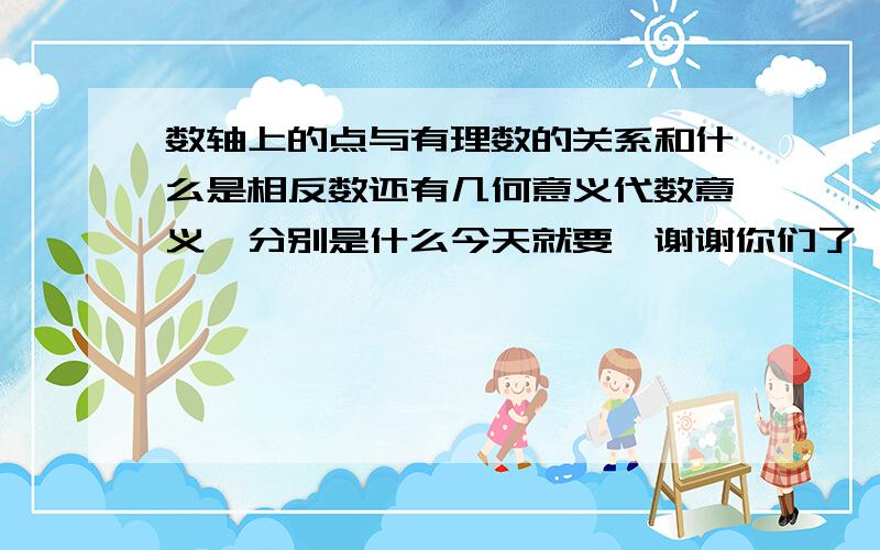 数轴上的点与有理数的关系和什么是相反数还有几何意义代数意义,分别是什么今天就要,谢谢你们了,