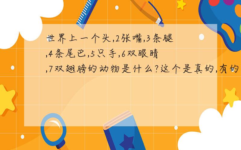 世界上一个头,2张嘴,3条腿,4条尾巴,5只手,6双眼睛,7双翅膀的动物是什么?这个是真的,有的不是怪物~