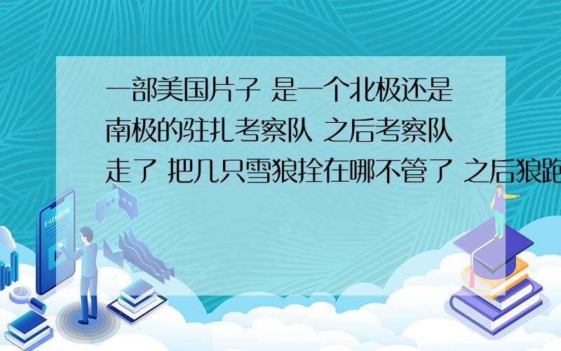 一部美国片子 是一个北极还是南极的驻扎考察队 之后考察队走了 把几只雪狼拴在哪不管了 之后狼跑了之后狼们脱开绳子跑了    考察队员又回来接狼   之后看见一只狼不愿走 被饿死了   记