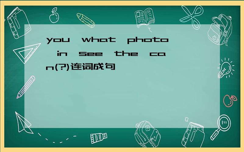 you,what,photo,in,see,the,can(?)连词成句