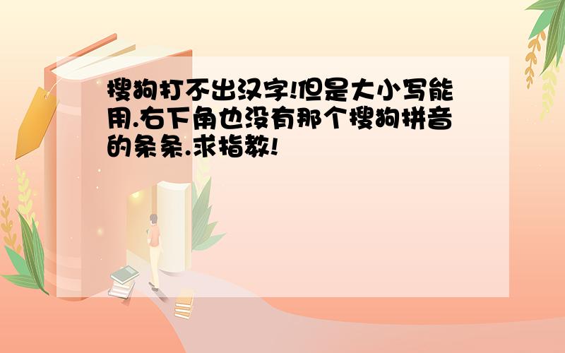 搜狗打不出汉字!但是大小写能用.右下角也没有那个搜狗拼音的条条.求指教!