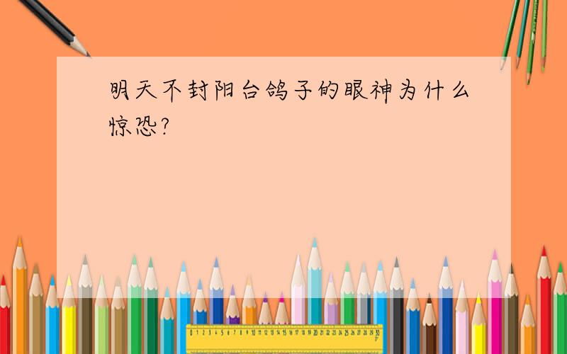 明天不封阳台鸽子的眼神为什么惊恐?