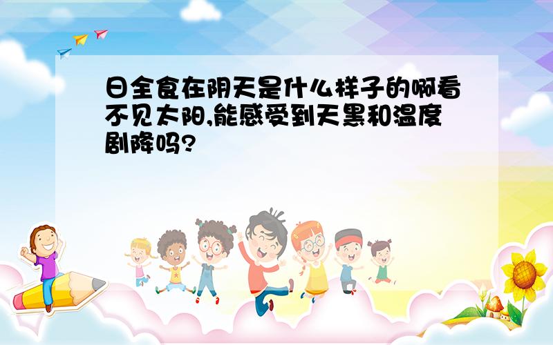 日全食在阴天是什么样子的啊看不见太阳,能感受到天黑和温度剧降吗?