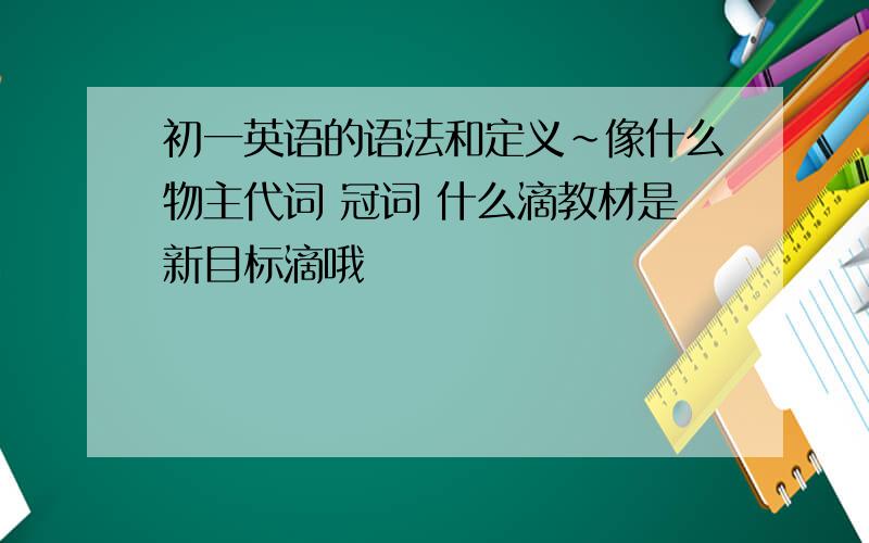 初一英语的语法和定义~像什么物主代词 冠词 什么滴教材是新目标滴哦