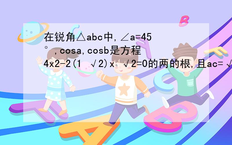 在锐角△abc中,∠a=45°,cosa,cosb是方程4x2-2(1 √2)x √2=0的两的根,且ac=√2,求∠b的度数,ab的长