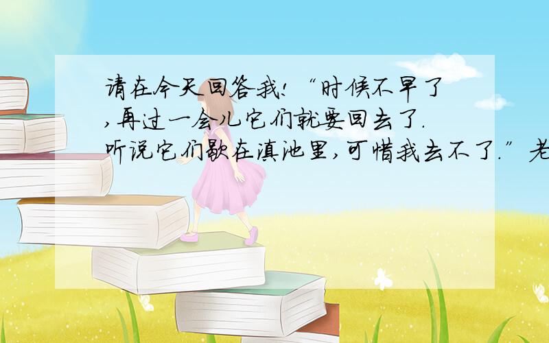 请在今天回答我!“时候不早了,再过一会儿它们就要回去了.听说它们歇在滇池里,可惜我去不了.”老人望着高空盘旋的鸥群,眼睛里带着企盼.（老人在期盼什么?）