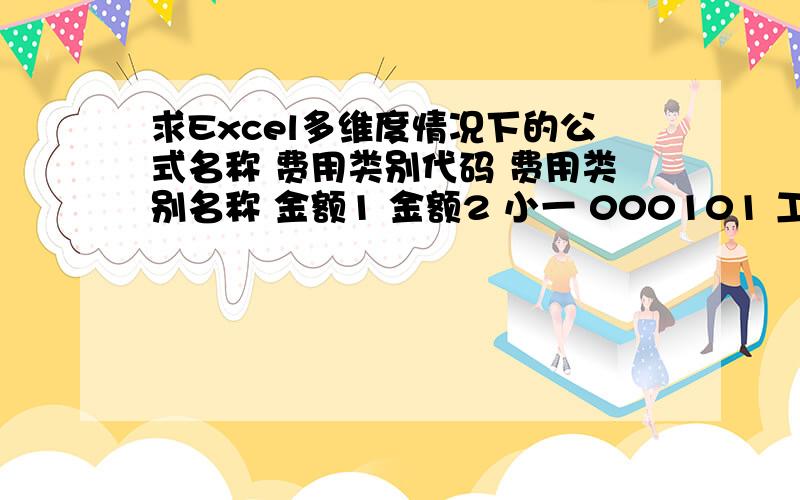 求Excel多维度情况下的公式名称 费用类别代码 费用类别名称 金额1 金额2 小一 000101 工资总额 1876.00 1153.00 小一 000102 社会保险 1234.00 1595600.00 小一 000103 企业年金 34322.00 4223.00 小二 000101 工资