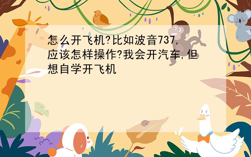 怎么开飞机?比如波音737,应该怎样操作?我会开汽车,但想自学开飞机