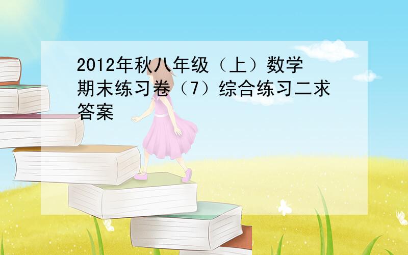 2012年秋八年级（上）数学期末练习卷（7）综合练习二求答案