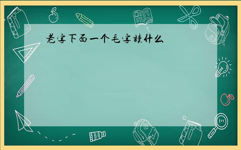 老字下面一个毛字读什么