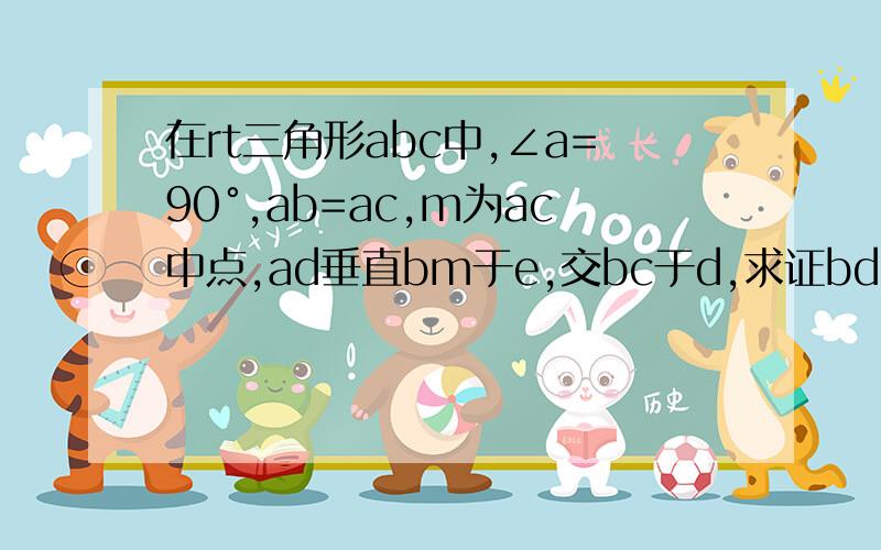 在rt三角形abc中,∠a=90°,ab=ac,m为ac中点,ad垂直bm于e,交bc于d,求证bd=2cd