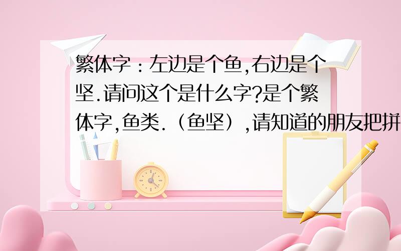 繁体字：左边是个鱼,右边是个坚.请问这个是什么字?是个繁体字,鱼类.（鱼坚）,请知道的朋友把拼音带上..