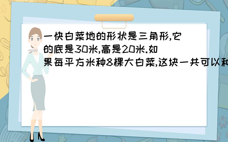 一快白菜地的形状是三角形,它的底是30米,高是20米.如果每平方米种8棵大白菜,这块一共可以种多少棵大白菜